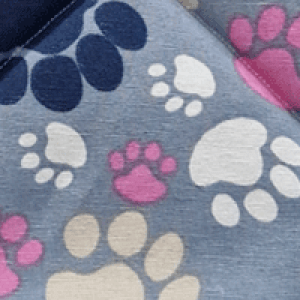 Tapis caisse transport M - Patounesbleu