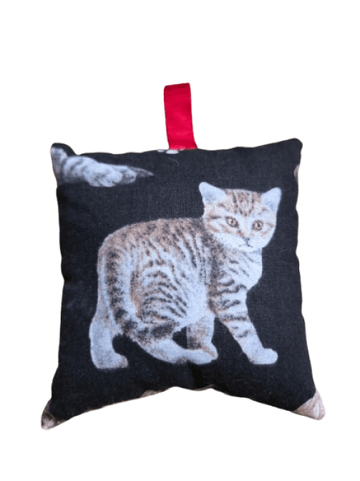 Petit coussins à la lavande