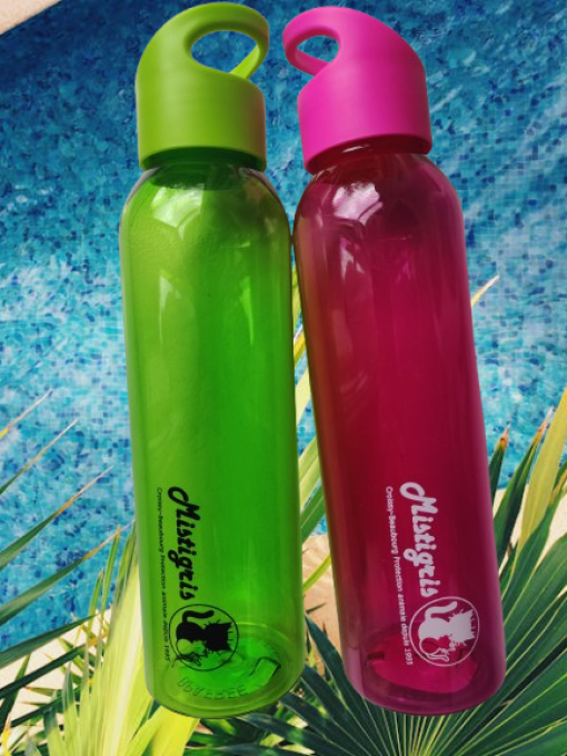 Bouteille réutilisable MISTIGRIS