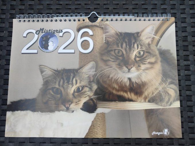 CALENDRIER 2026